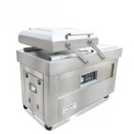 DZ-600/2SB double chamber vacuum packaging machine